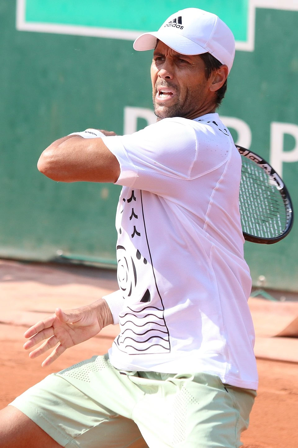 Fernando Verdasco in action on a tennis court