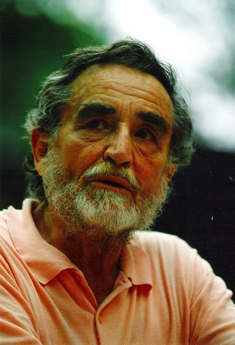 Vittorio Gassman Net Worth: Estimated Range, Sources, and Method